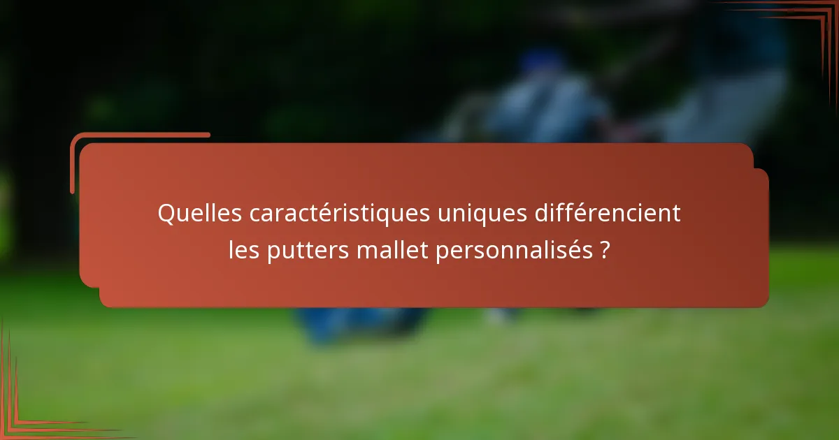 Quelles caractéristiques uniques différencient les putters mallet personnalisés ?