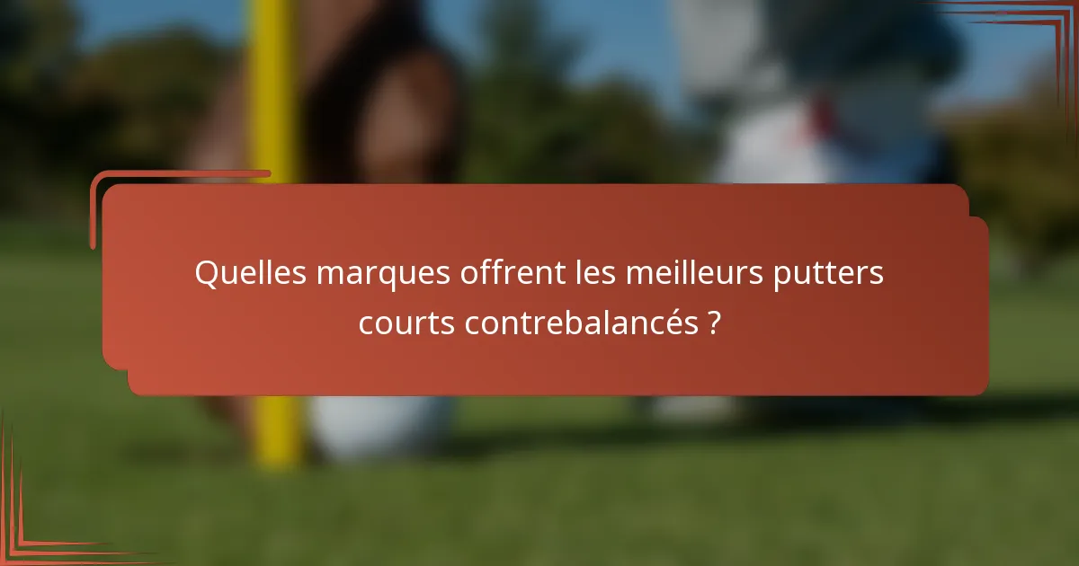Quelles marques offrent les meilleurs putters courts contrebalancés ?