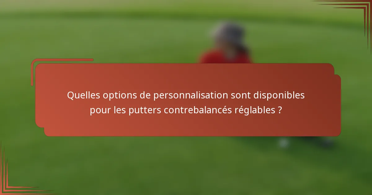 Quelles options de personnalisation sont disponibles pour les putters contrebalancés réglables ?