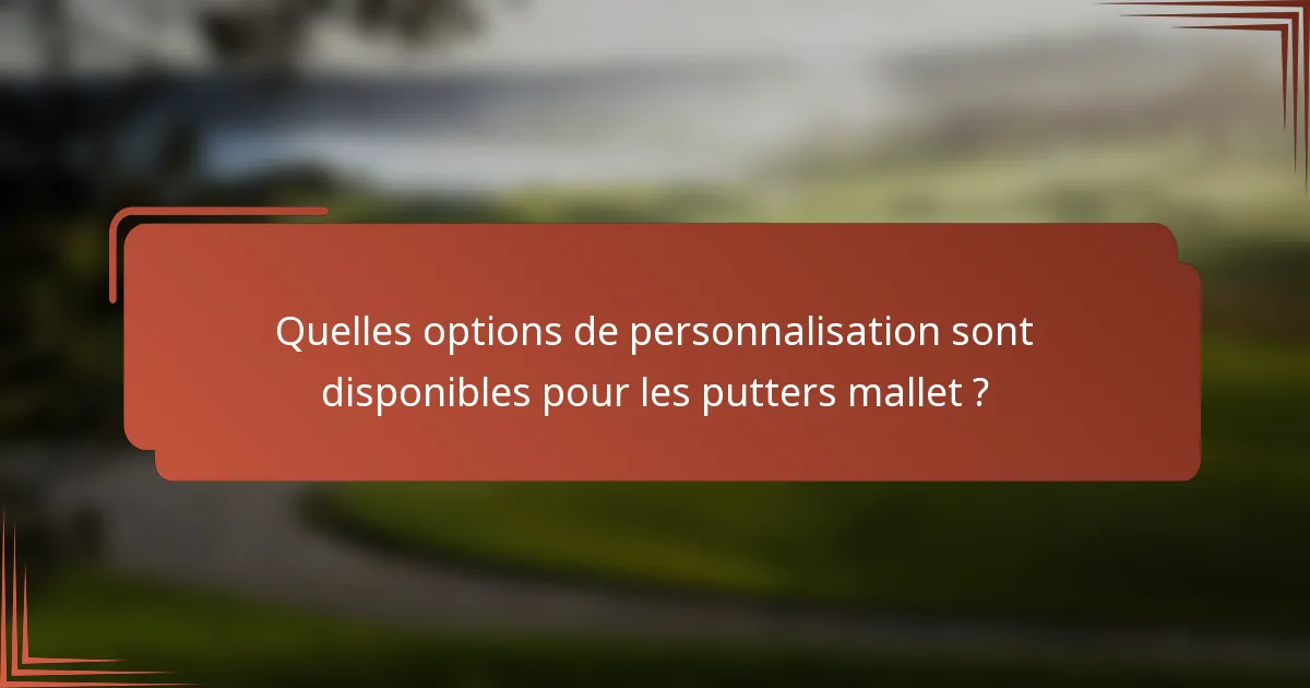 Quelles options de personnalisation sont disponibles pour les putters mallet ?