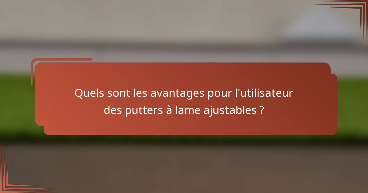 Quels sont les avantages pour l'utilisateur des putters à lame ajustables ?